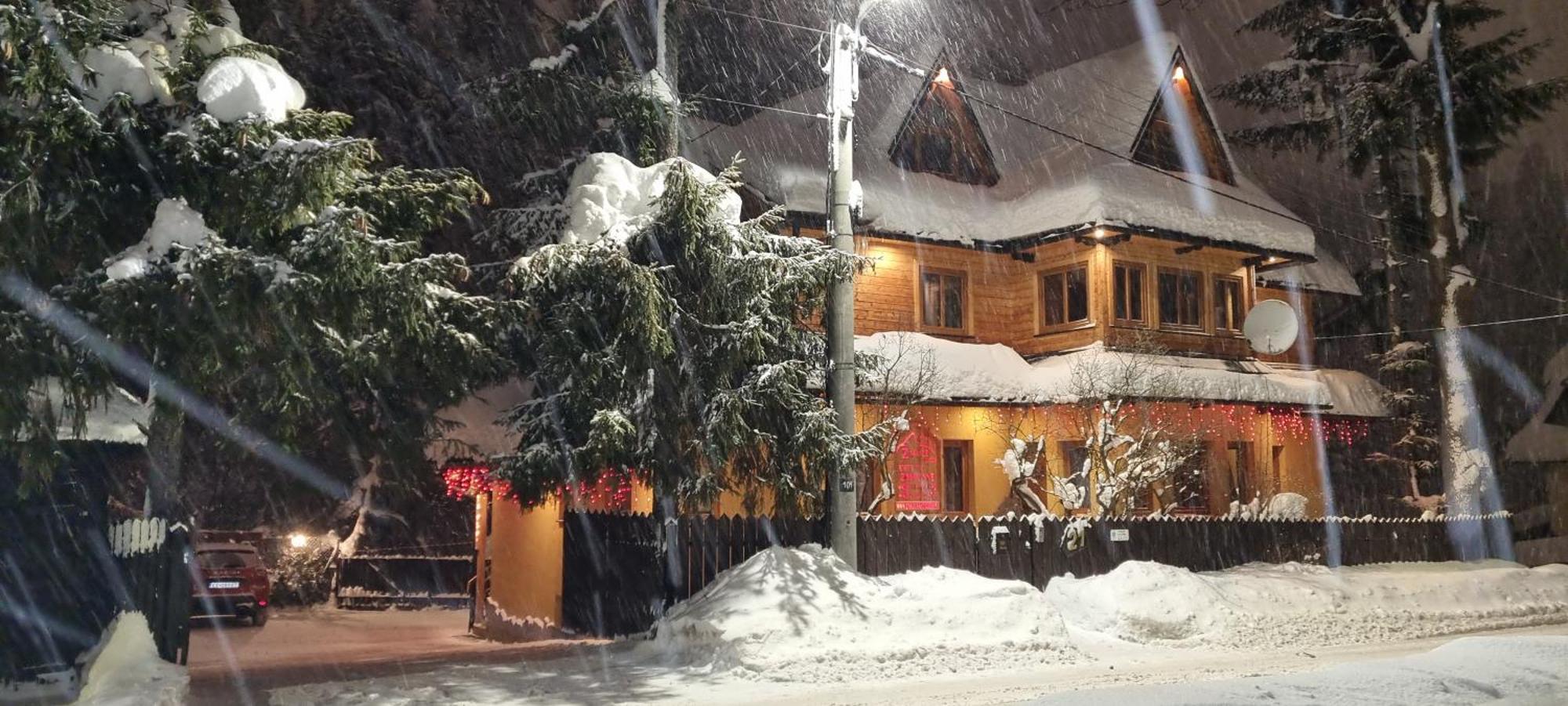 Willa Zacisze Zakopane Extérieur photo